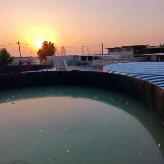 شرکت بهاران کشت و صنعت آبیار