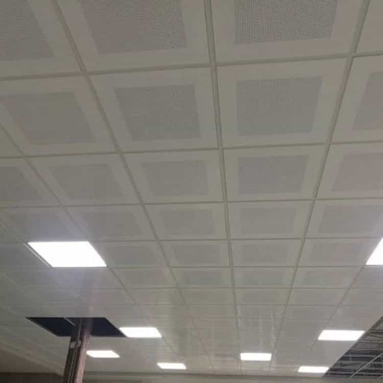 1731835575618.webp