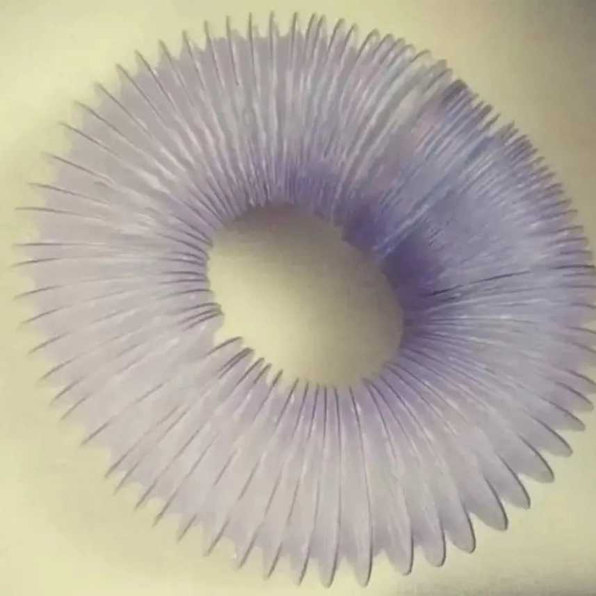 پاسارگاد هود