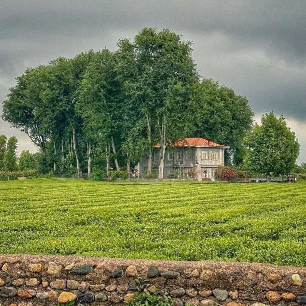 رستوران و چایخانه سنتی همیشه بهار