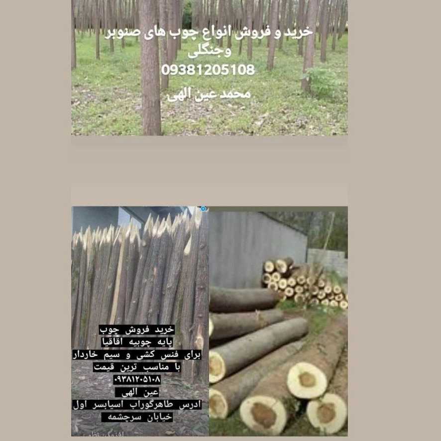 چوب فروشی عین الهی