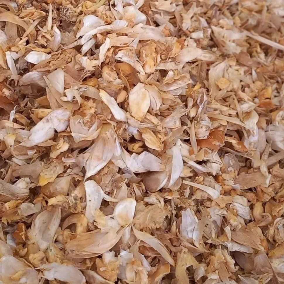 پرک سیر همدان