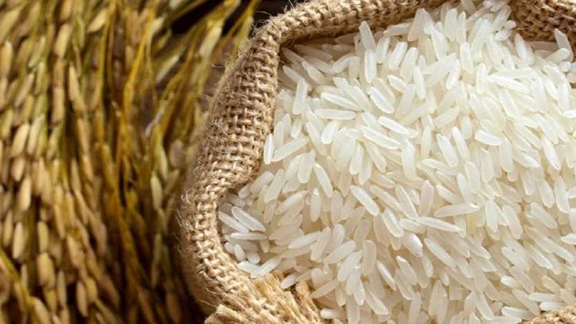Sorting Alavi rice, selling Tarem Hashemi Iranian rice in Mahmoudabad, Mazandaran
