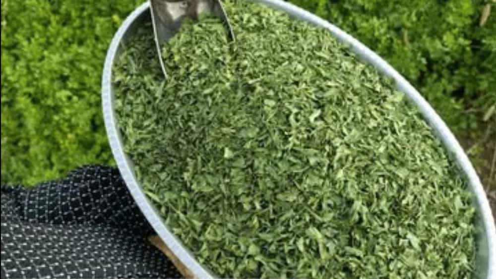 Selling dried vegetables in Darab Fars