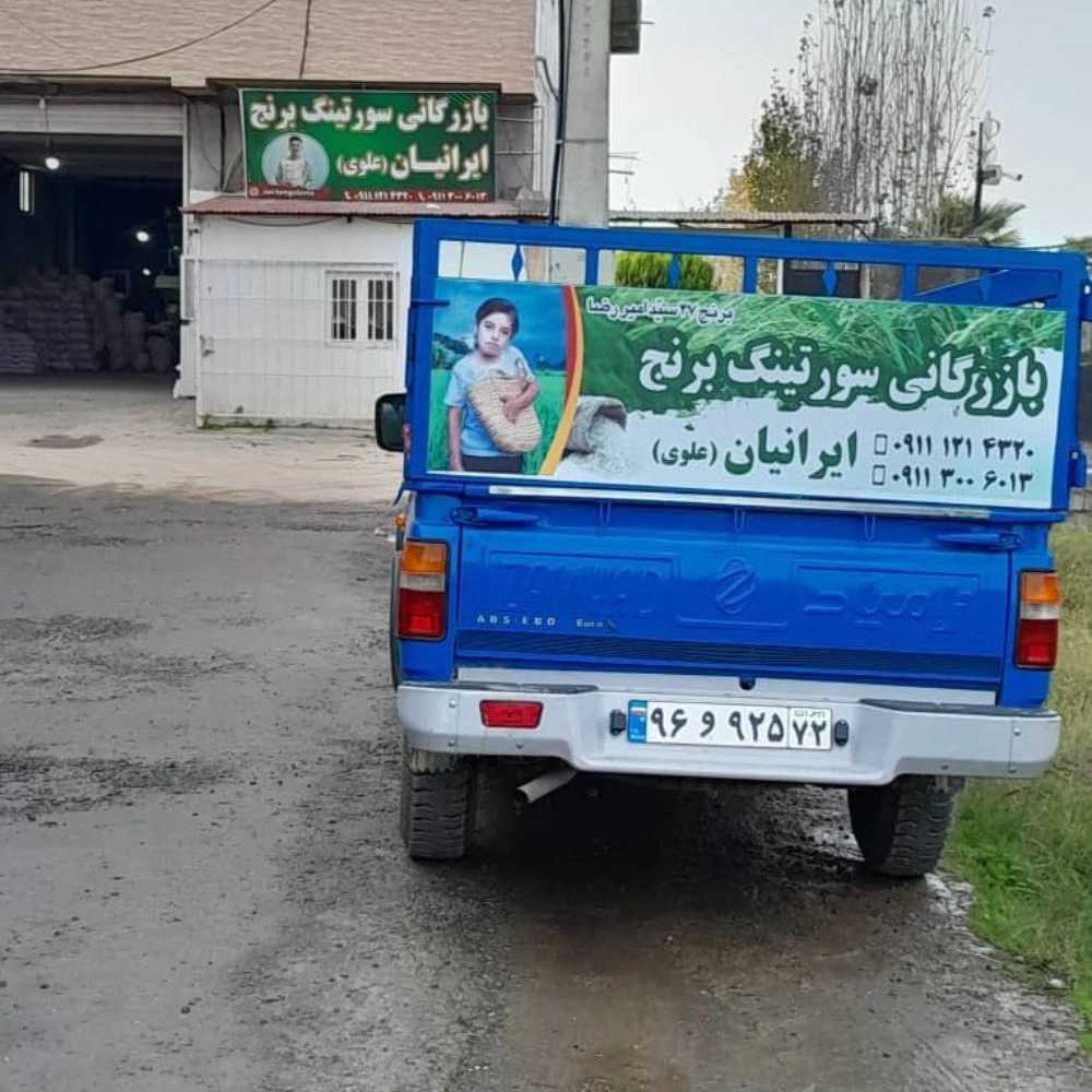 بازرگانی سورتینگ برنج علوی