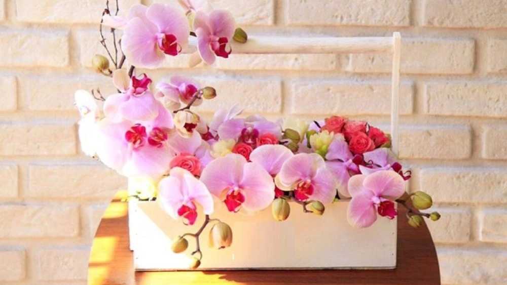 گل های مناسب دسته گل