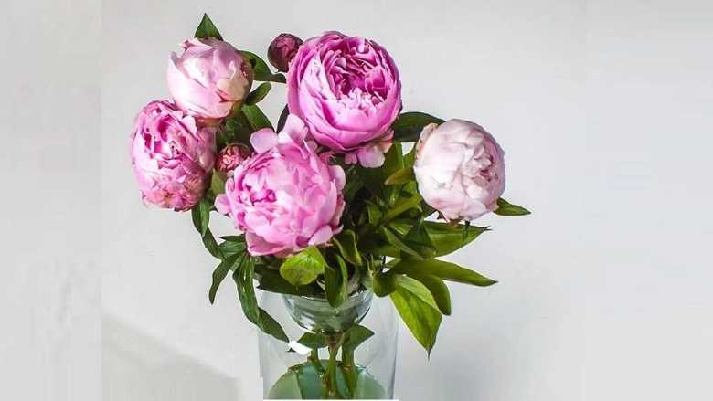 فروش دسته گل و باکس گل در مشهد