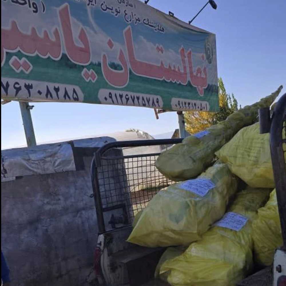 بسته بندی و ارسال