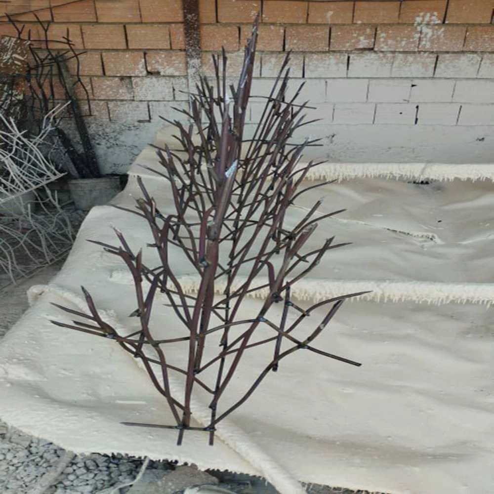 حفاظ شاخ گوزنی ممتاز در تهران