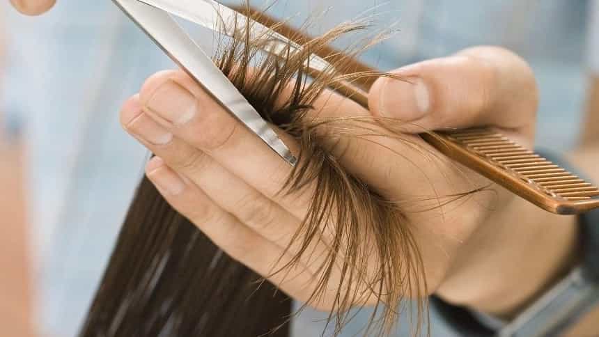 Beautyland haircut
