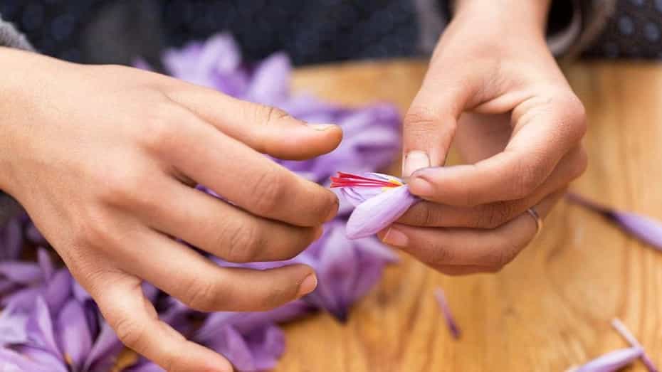 Introducing the most important properties of saffron