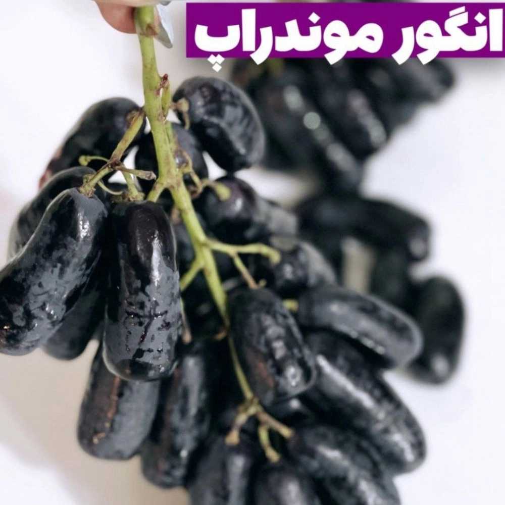 درنیکا میوه