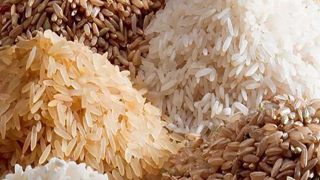 قیمت برنج دم سیاه کلات