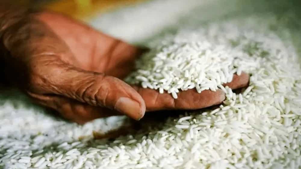 Buying rice from Astana Ashrafieh