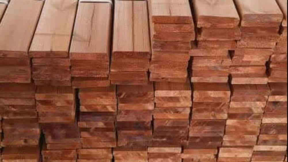 Termwood