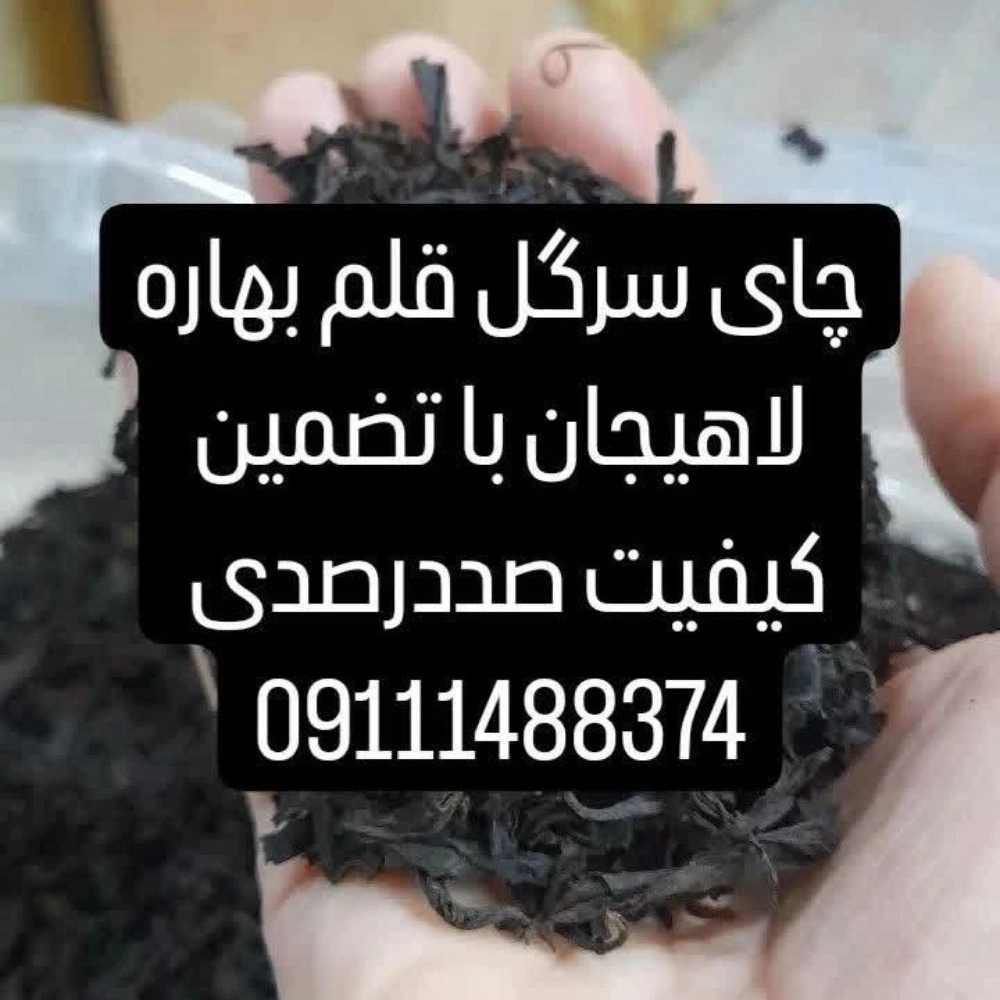 محوصلات خانگی در رودبار