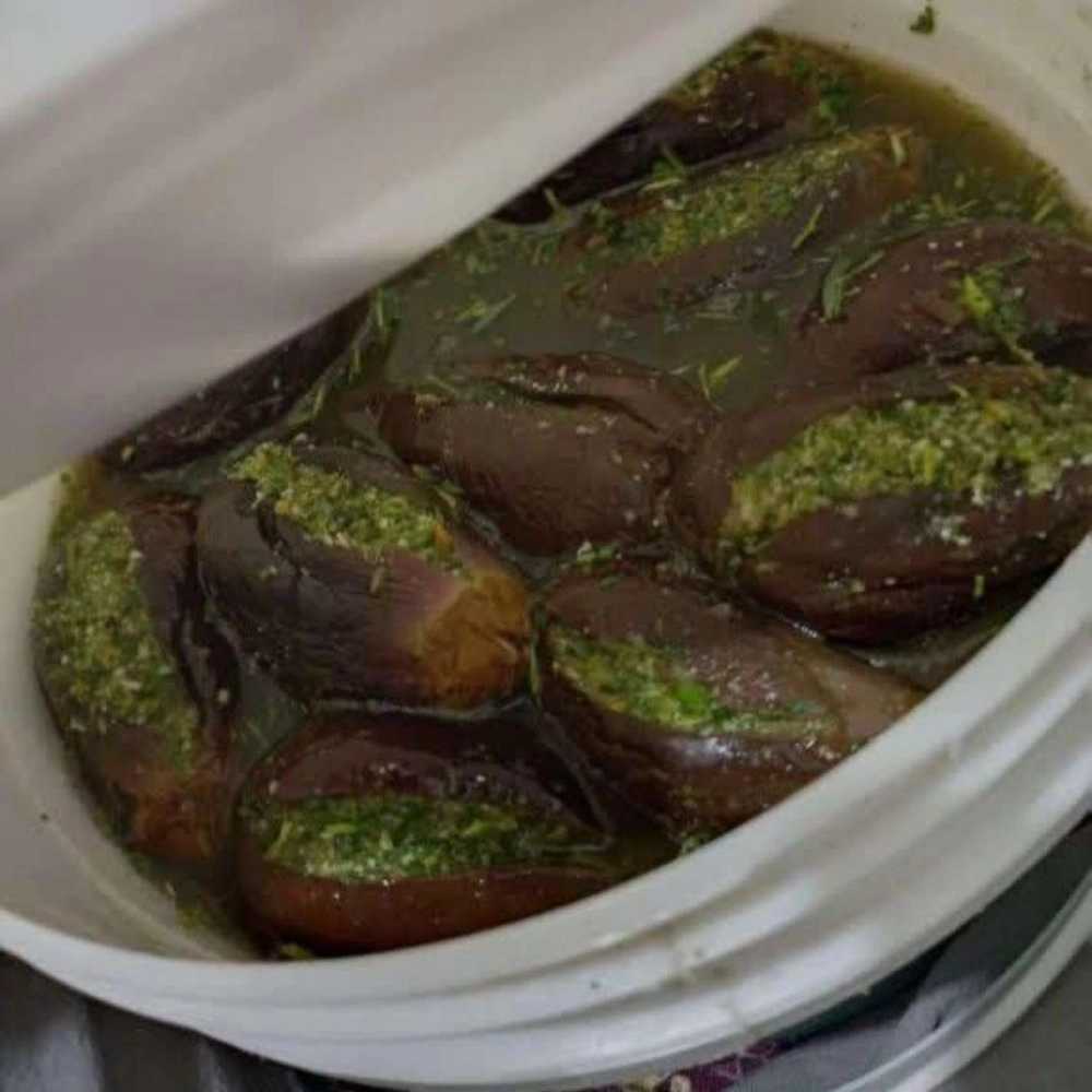 محوصلات خانگی در رودبار