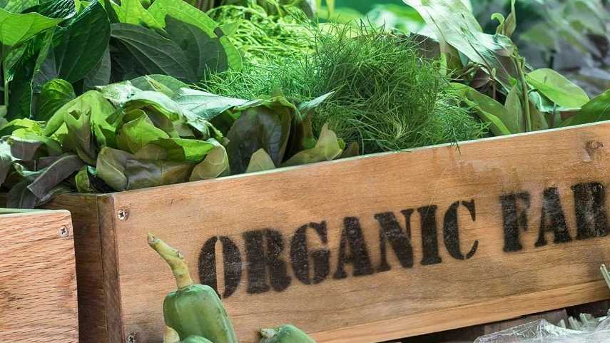 فروش محصولات ارگانیک خانگی در رودبار