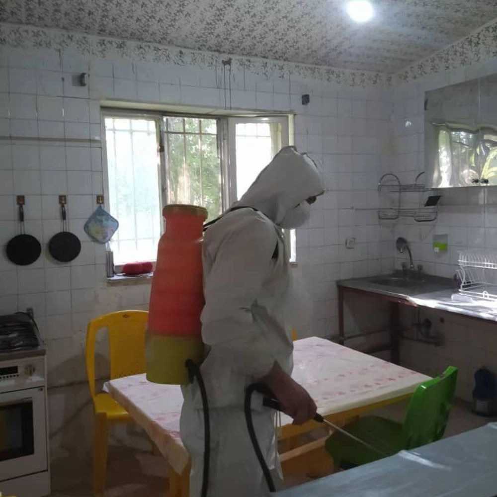 شرکت پیشتاز نابودگر همدان