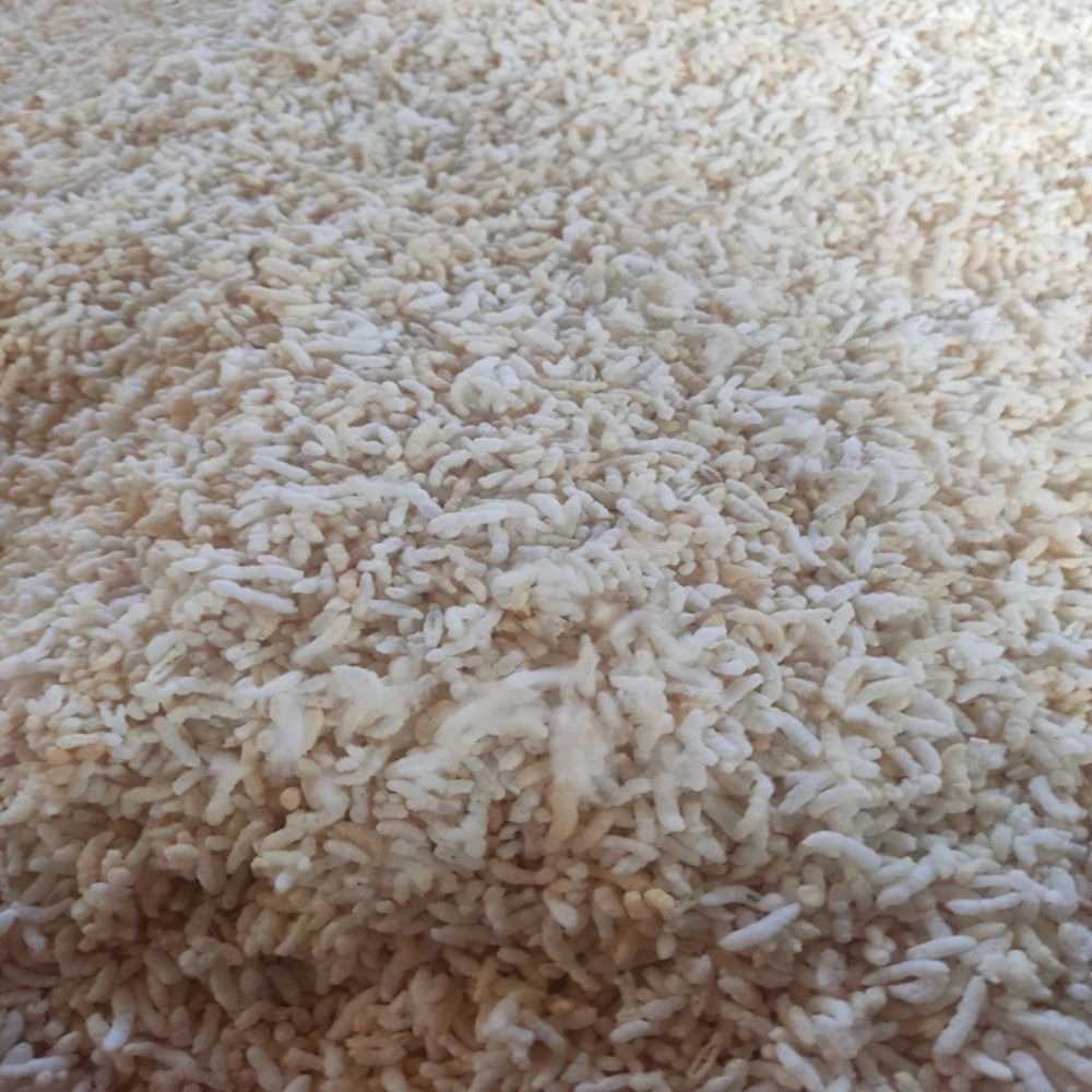 تنقلات چلسمه کده