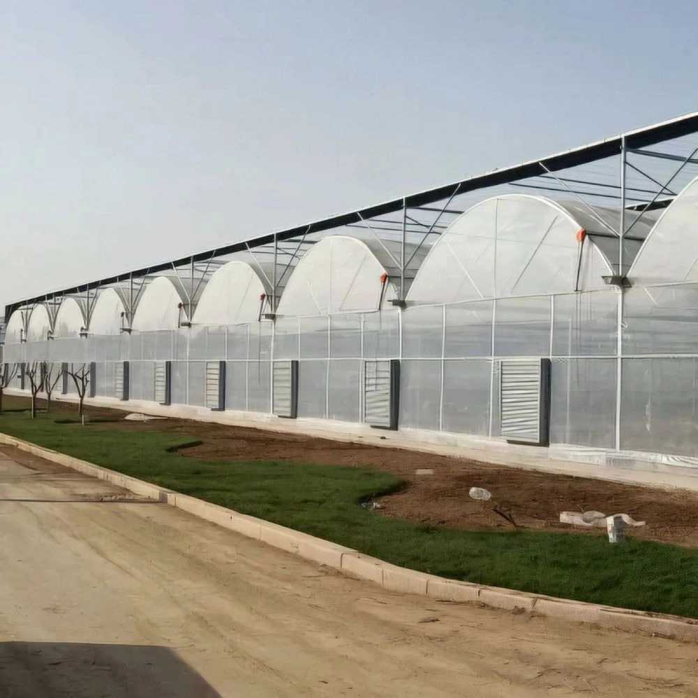 شرکت پالیز کامیاب گل افروز