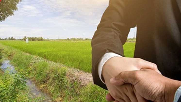 زمین با کاربری مسکونی در سنگر رشت