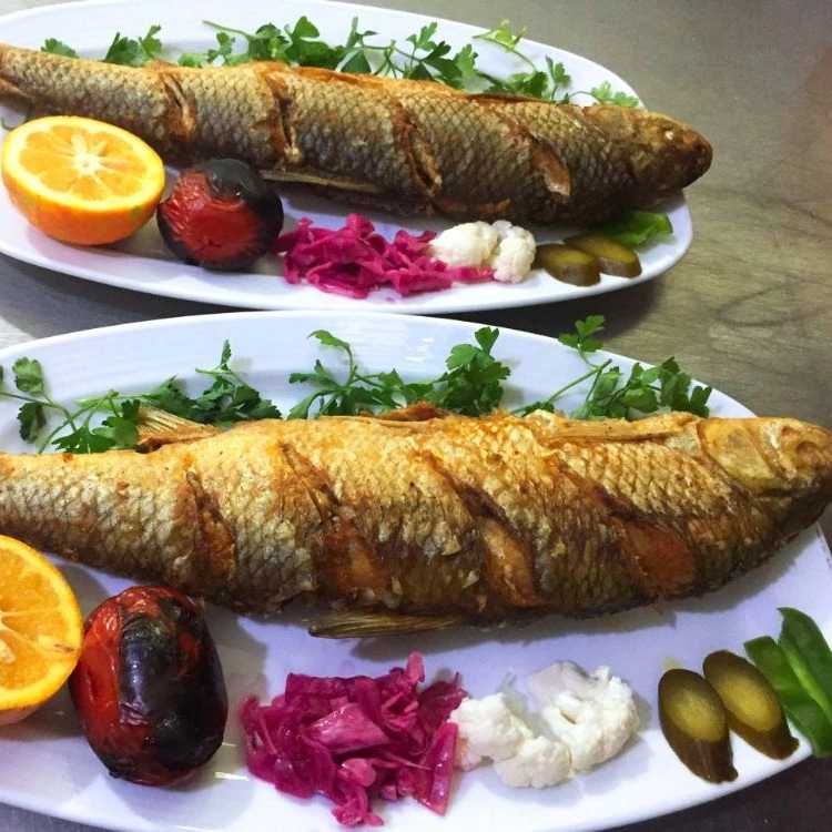 White fish