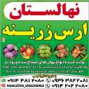 Aras Zarineh nursery, sale of walnut, apricot, peach and apple seedlings in Miandoab