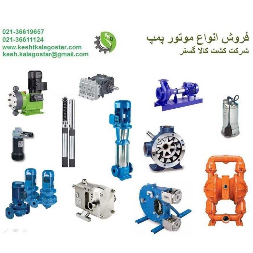 کشت کالا گستر در تهران