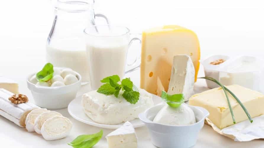 Production and distribution of dairy products in Rasht