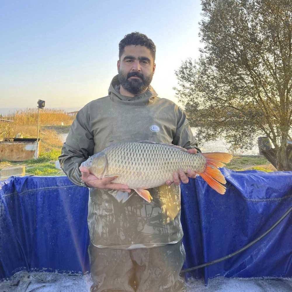 ماهی فروشی بهشهر فرخ زاد