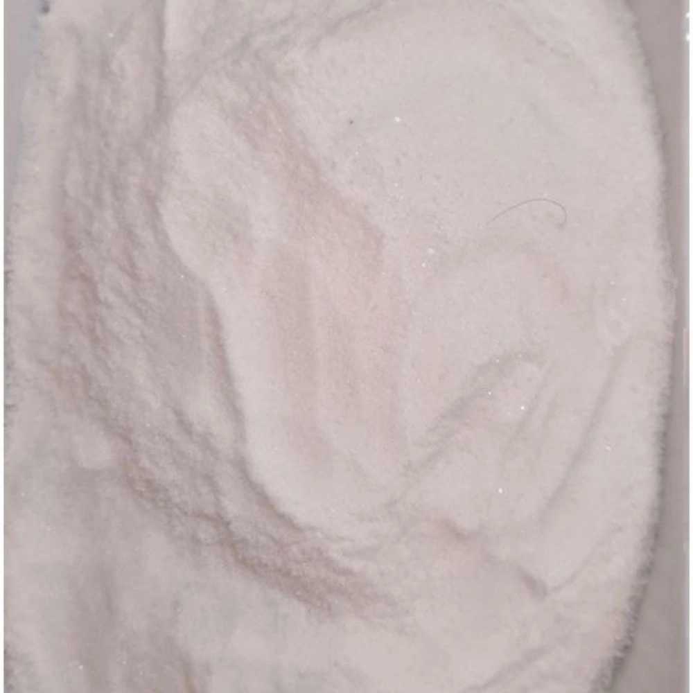 موسس آیلید