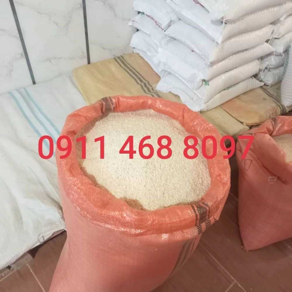 تولید برنج هاشمی در تالش گیلان