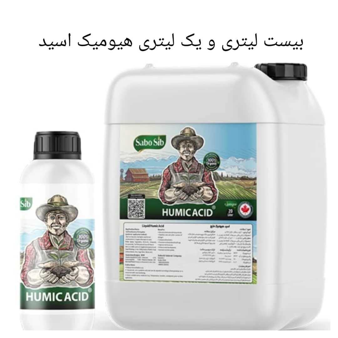 سبوسیب