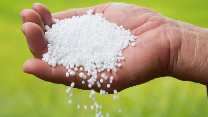 Sale of urea phosphate at Farjad Gostar Medical Pharmacy