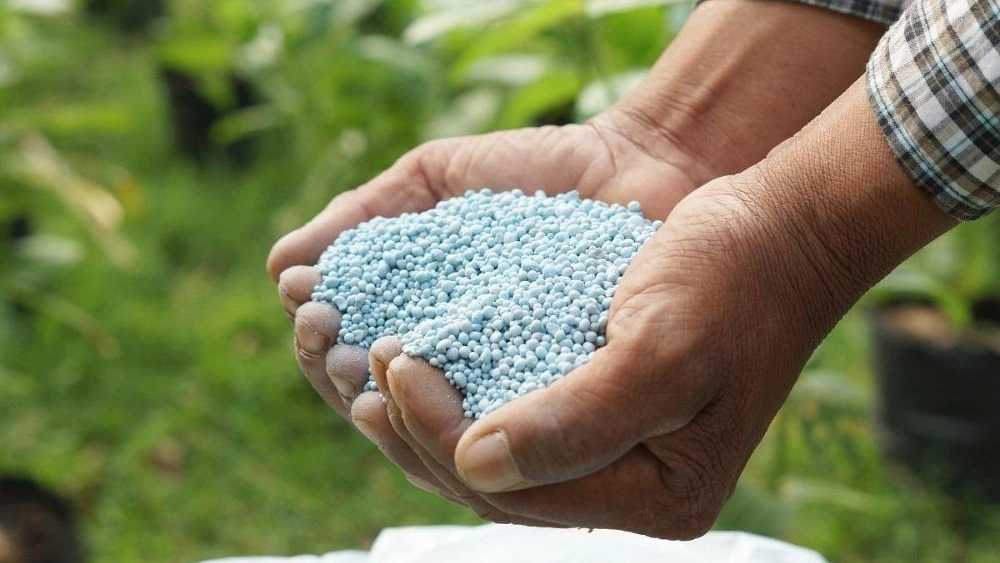 گیاه پزشکی فرجاد گستر