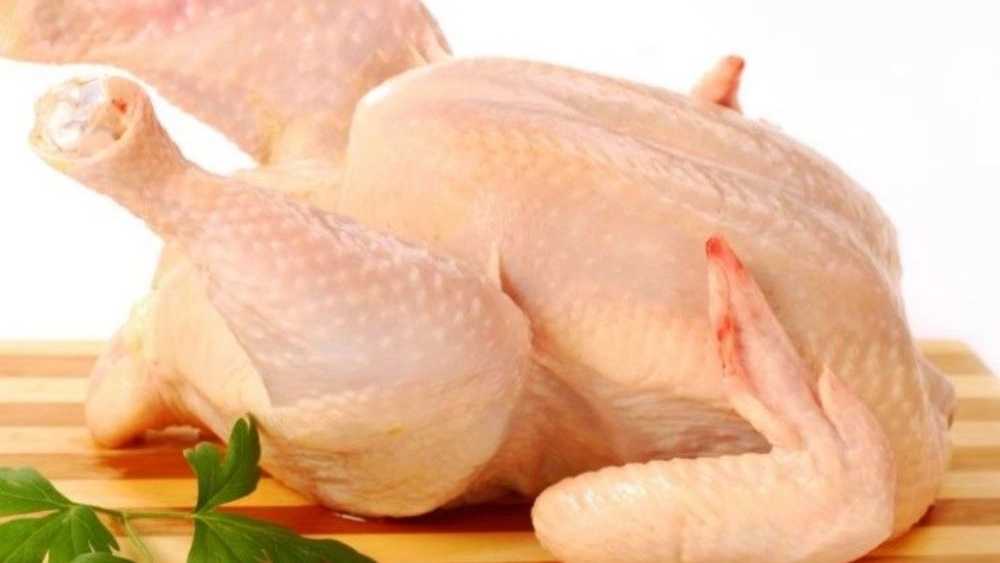 آلایش خوراکی مرغ