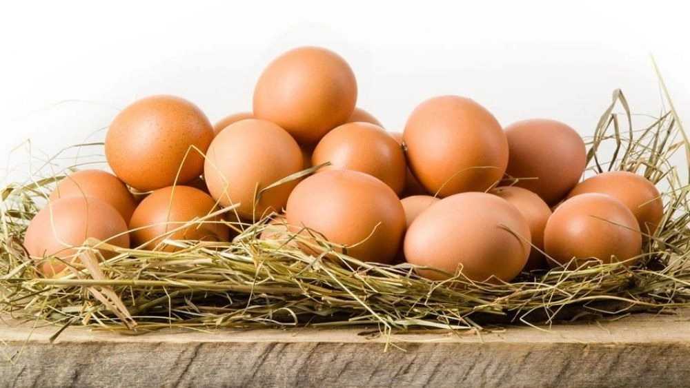 طبع تخم مرغ