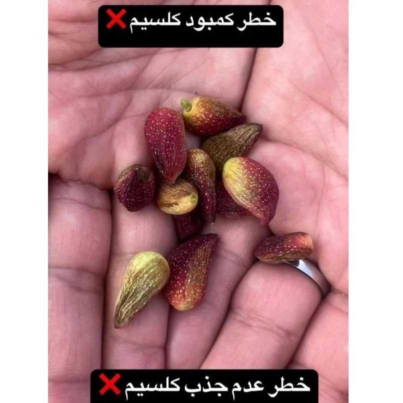 نمایندگی فروش کودهای ارگانیک در کرمان