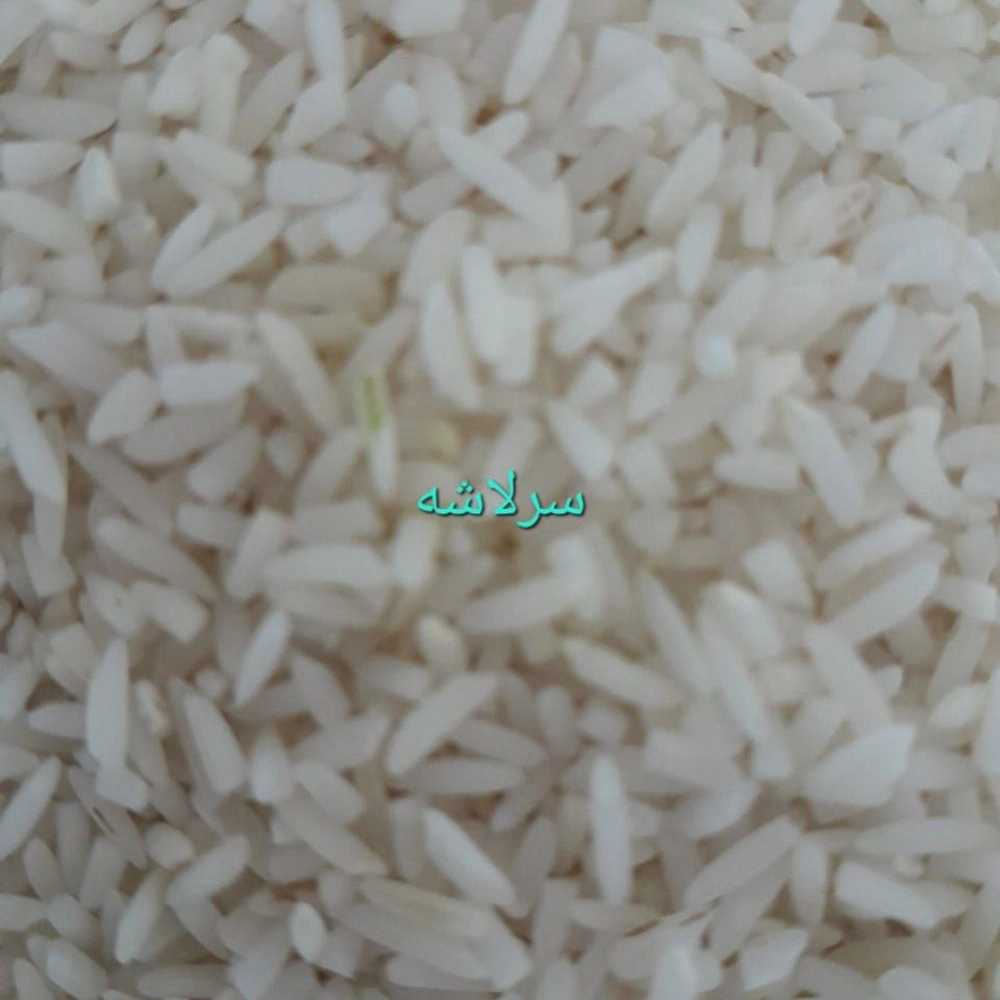 برنج سرلاشه