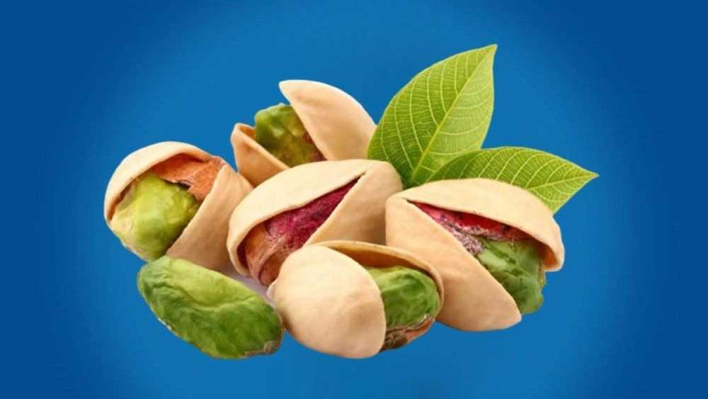 فراوری پسته