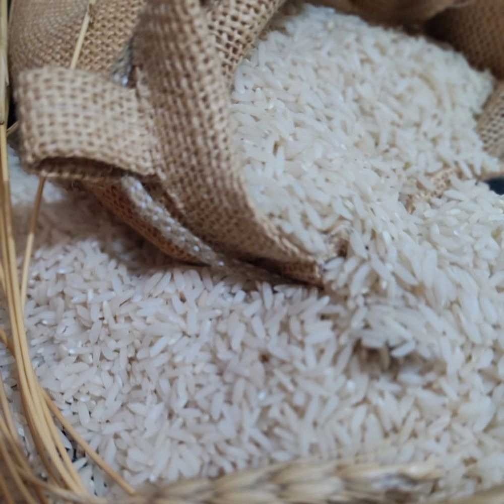 صید برنج