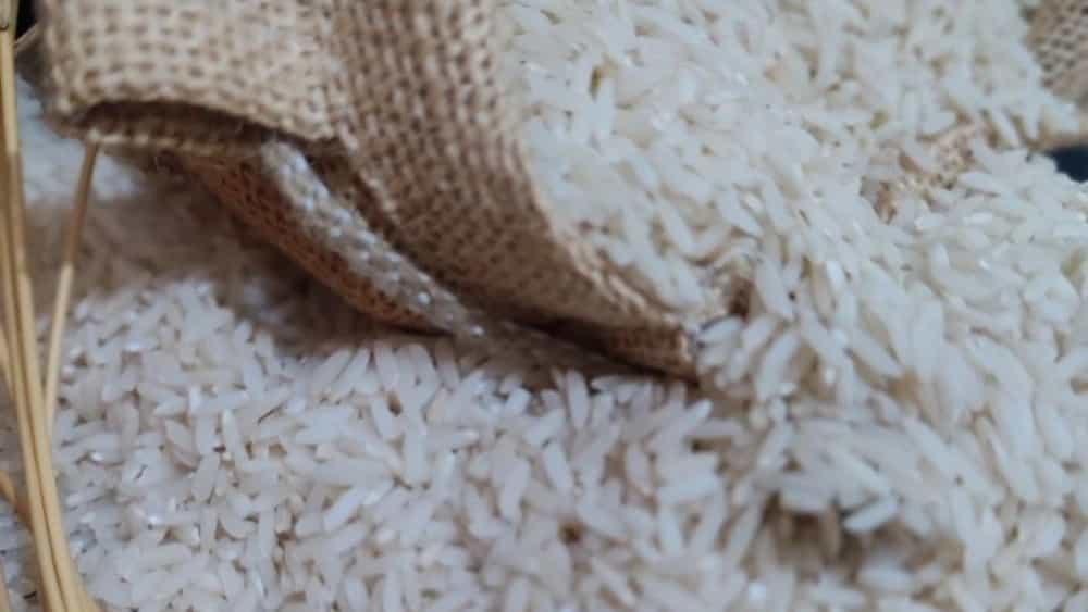 Ali Kazemi and Middle Minean Specialized Rice Distribution Center in Mohammad Shahr