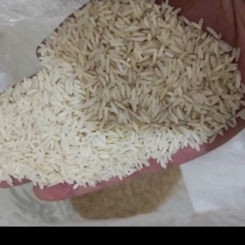 سید برنج