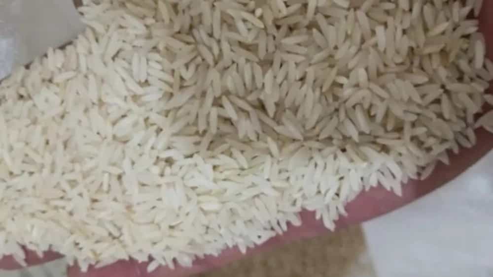 Price and online purchase of Rice Middle Middle and Ali Kazemi from Sayed in Mohammad Shahr