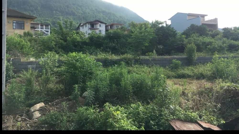 Oshyan'ın düşüncesinde 300 metre belgesel konut arazisi, villa inşası için uygun