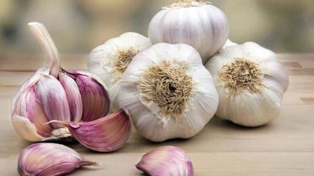 Daha iyi seçmek için kuru sarımsak satın almak için tam rehber önemli ipuçları