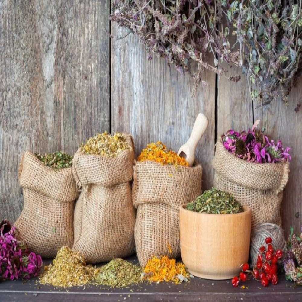 گیاهان دارویی و درمانی