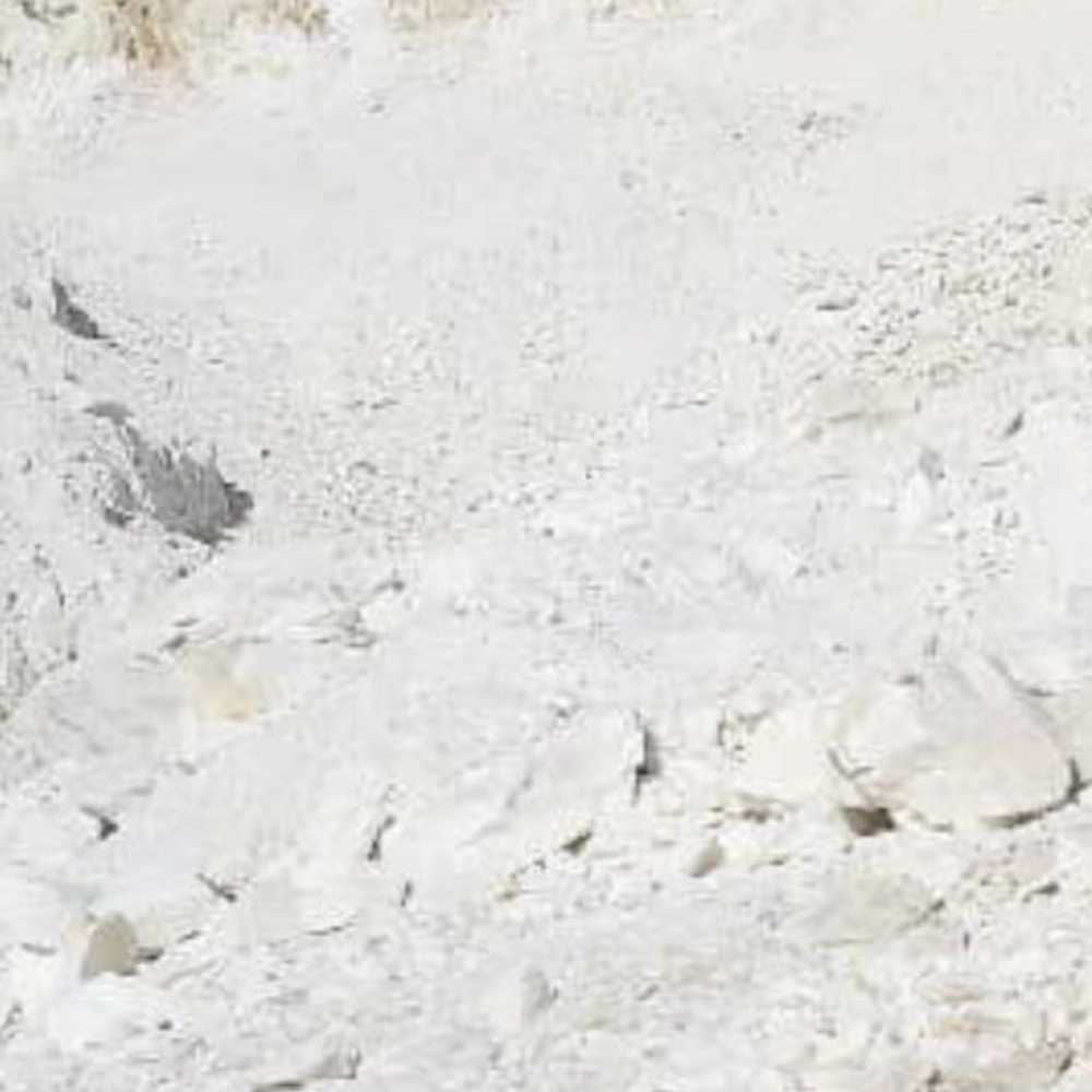 شرکت نام آوران