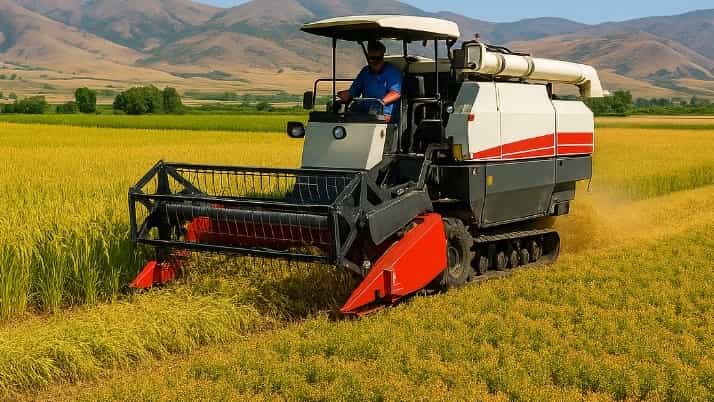 Comprehensive Guide to Buying Rice and Chickpea Combine in Kurdistan, Dear Mr